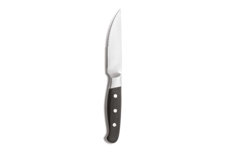 Steakmesser 258mm ACONCAGUA CHULETERO HQ black