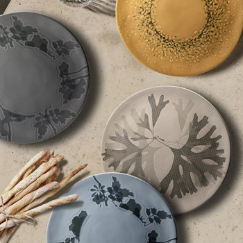 chefs plates