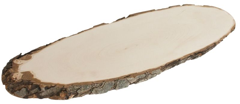 Rindenbrett 50-60cm/H:2cm Esche
