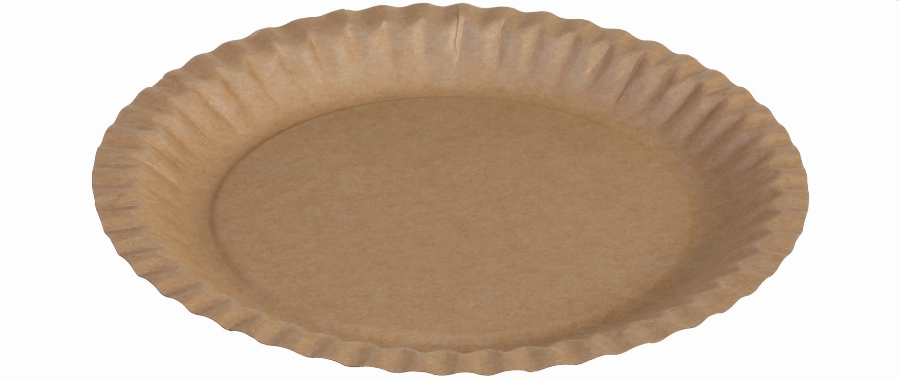 151580 100 Stück Pappteller 230mm rund ohne Beschichtung