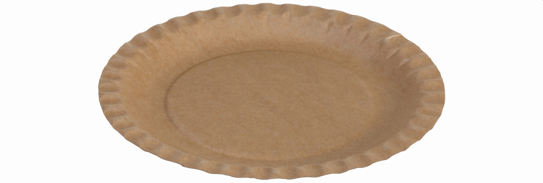 151579 100 Stück Pappteller 180mm rund ohne Beschichtung